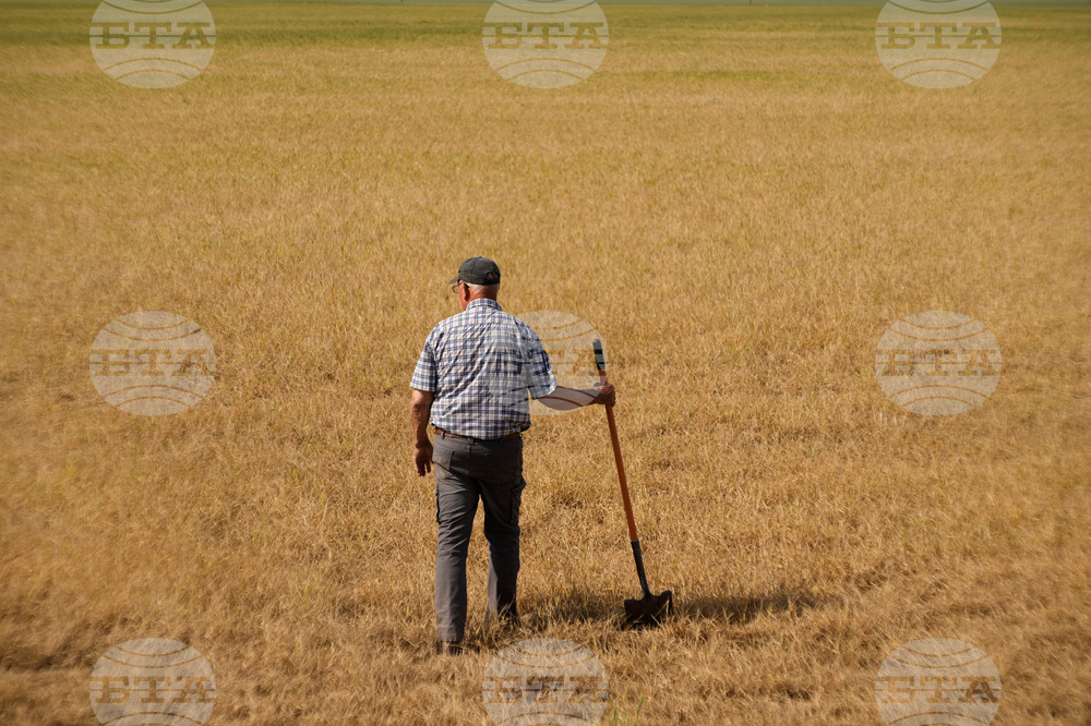 APTOPIX Climate Drought Wheat Farmers