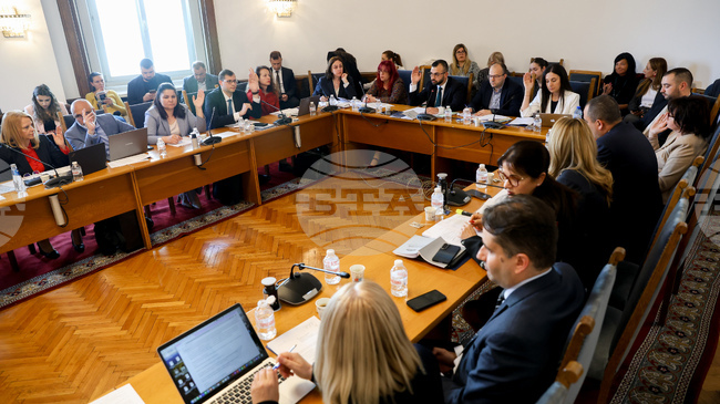 Ad Hoc Committee Approves Provisions of National Assembly Rules of Organization and Procedure