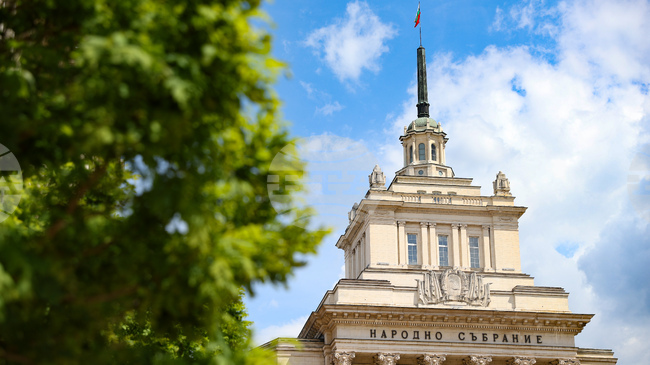 Stefana Karaslavova Released as National Assembly Secretary General by Mutual Consent