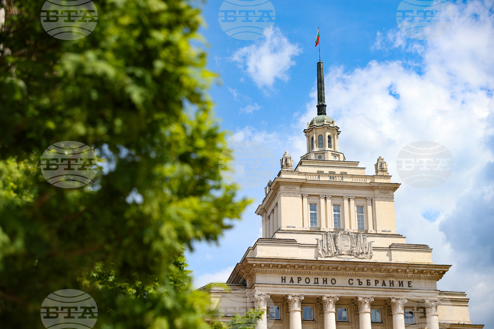 Stefana Karaslavova Released as National Assembly Secretary General by Mutual Consent