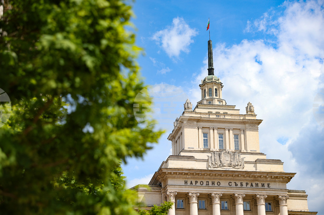 Stefana Karaslavova Released as National Assembly Secretary General by Mutual Consent