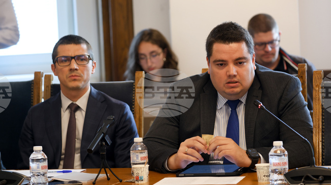 Постоянните комисии в Народното събрание да бъдат 24 вместо досегашните 25, предлага временната комисия за правилника на парламента