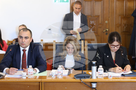 Народно събрание - временна комисия за организация на дейността - заседание