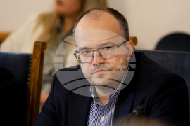 Народно събрание - временна комисия за организация на дейността - заседание
