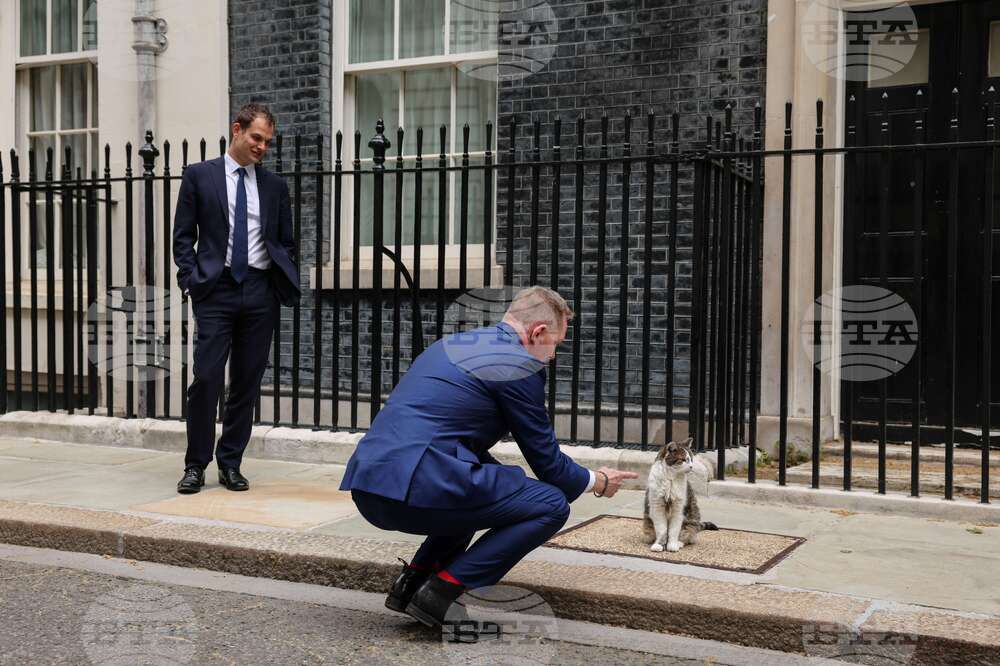 Britain Politics