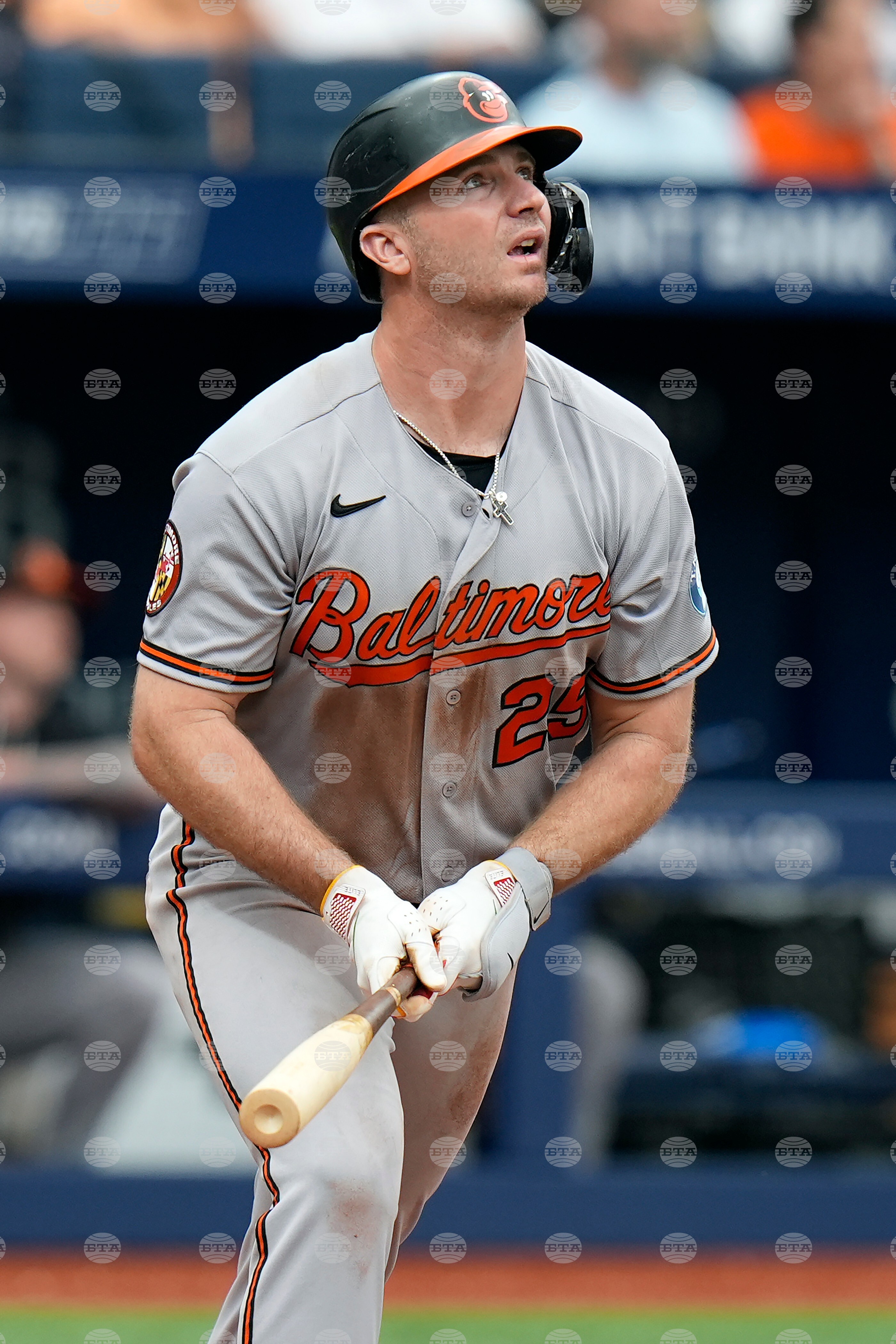 Orioles Rays Baseball