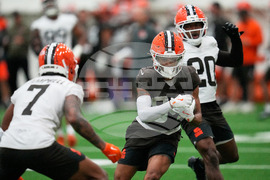 Browns Football
