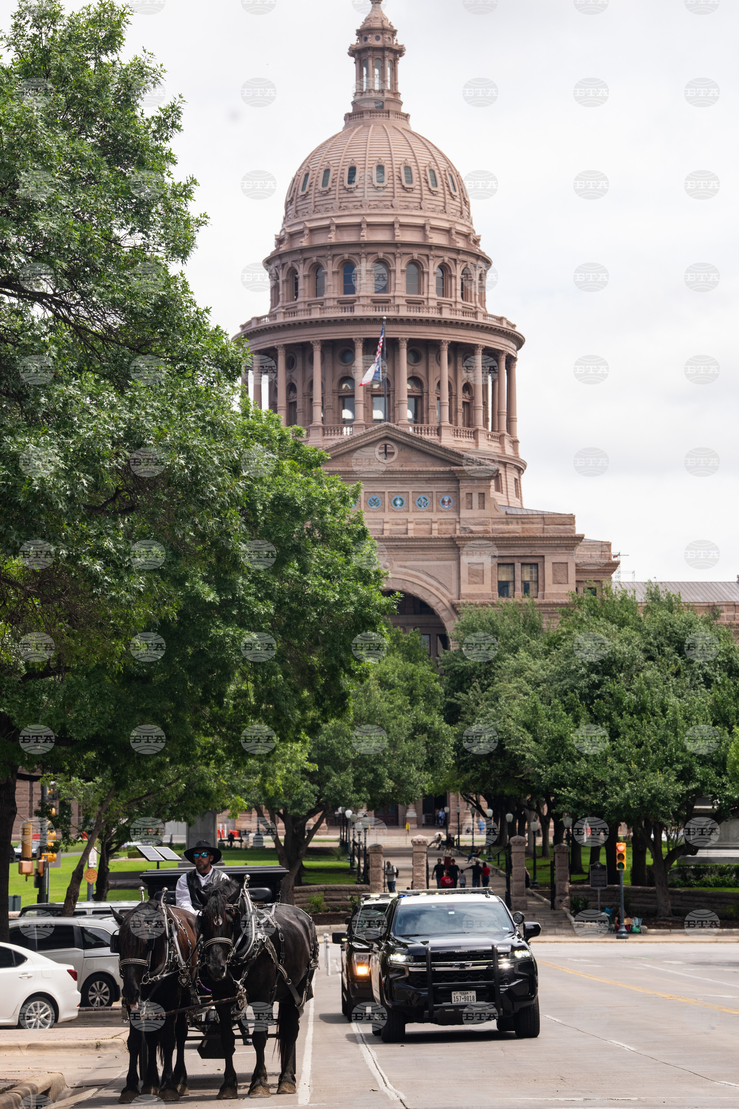 Texas University Protest