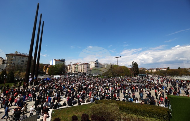 Поход за мир и неутралитет