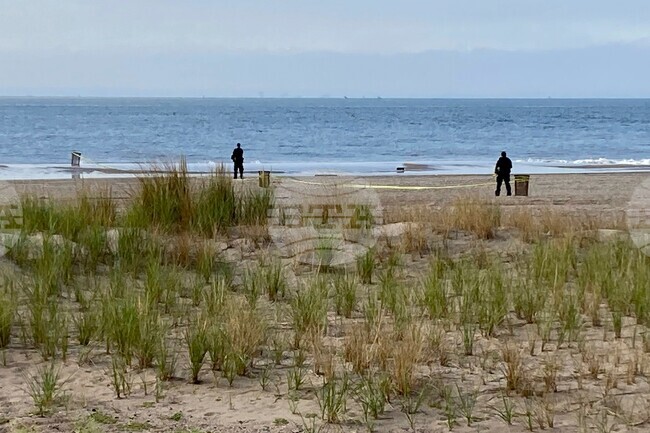 Children Drowned Sentencing