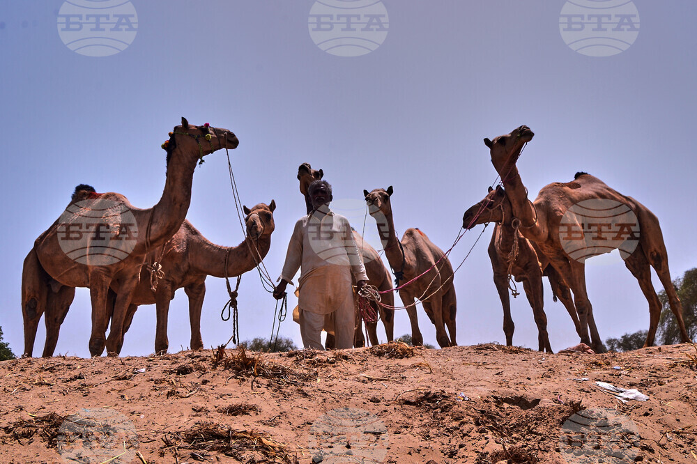 Pakistan Eid al-Adha
