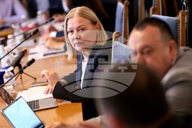 Народно събрание - временна комисия - извънредно заседание