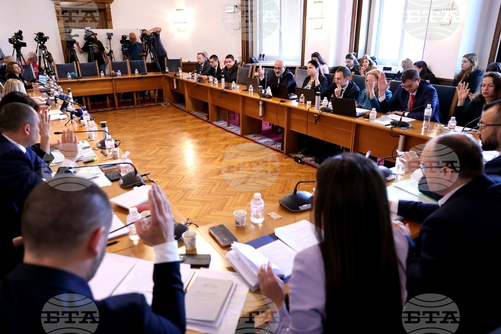 Draft National Assembly Rules of Organization and Procedure Clear Committee Stage