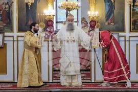 Село Крайници - патриарх Даниил - литургия