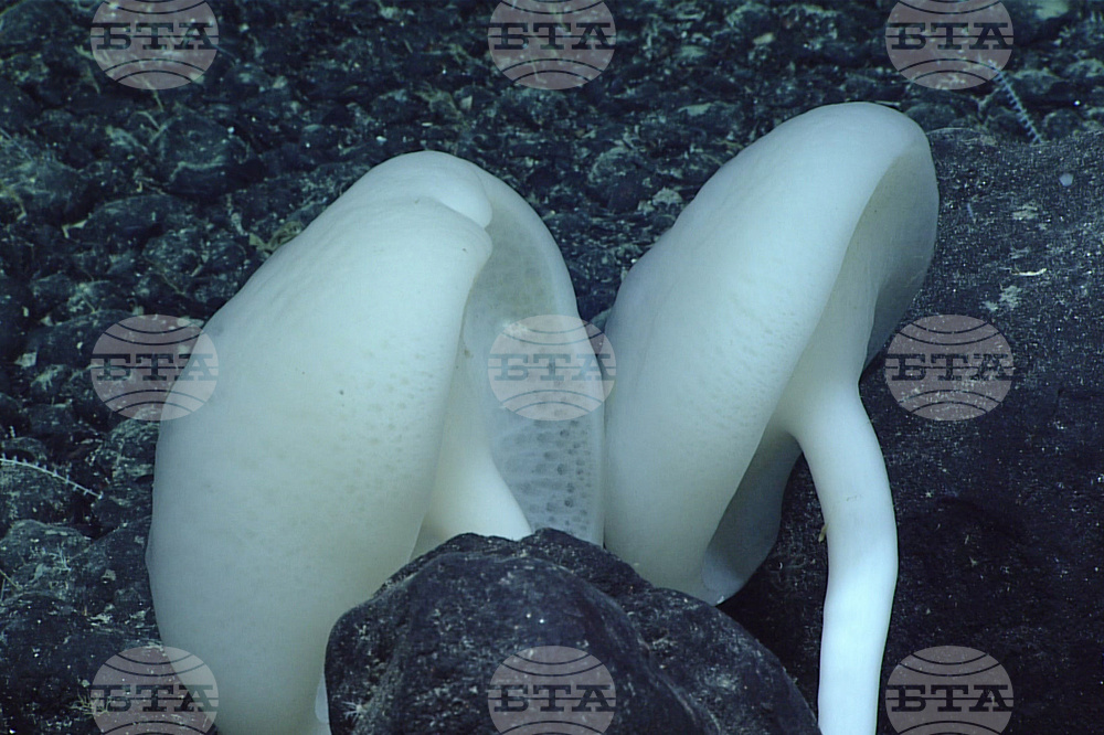 Deep-Sea Mining
