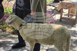 Село Михнево - храм „Възнесение Господне“ - 100 години от създаването