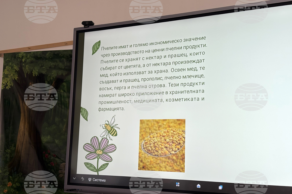 Самоков - пчели - занимания за ученици
