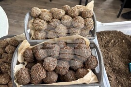 Самоков - пчели - занимания за ученици