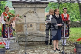 Елена -  Празник на града
