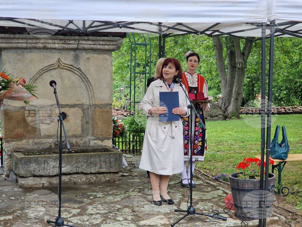 Елена -  Празник на града