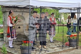 Елена -  Празник на града