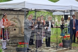 Елена -  Празник на града