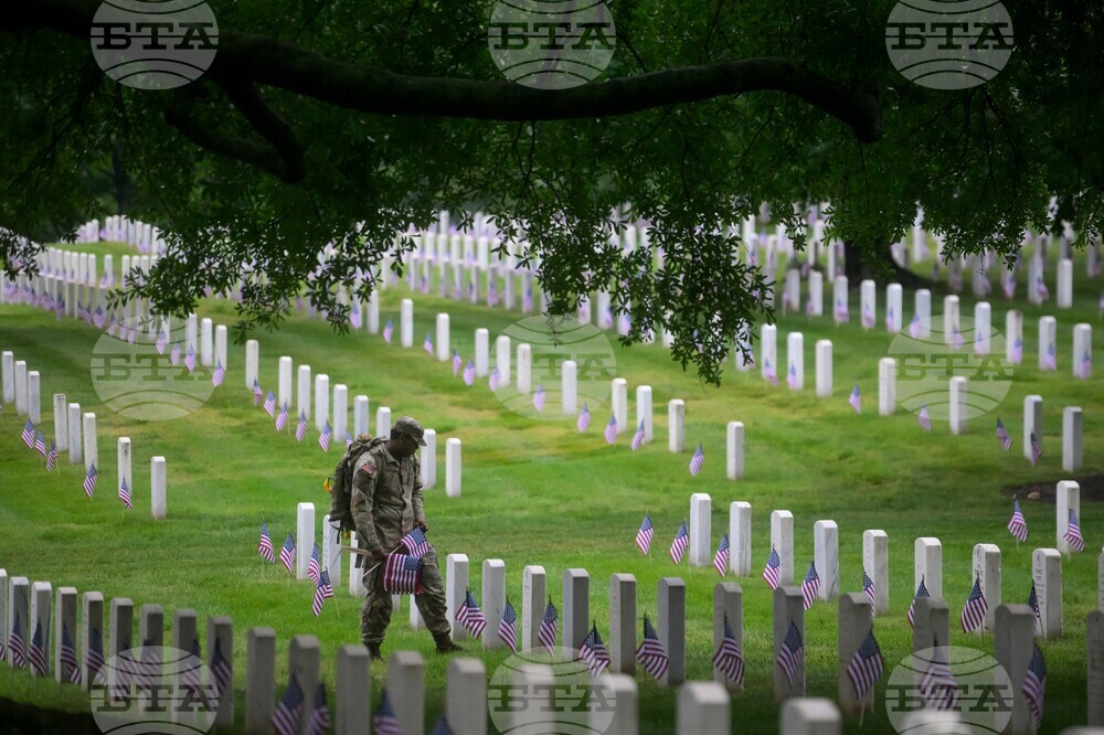 Arlington Cemetery Flags In