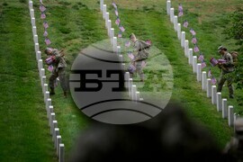Arlington Cemetery Flags In