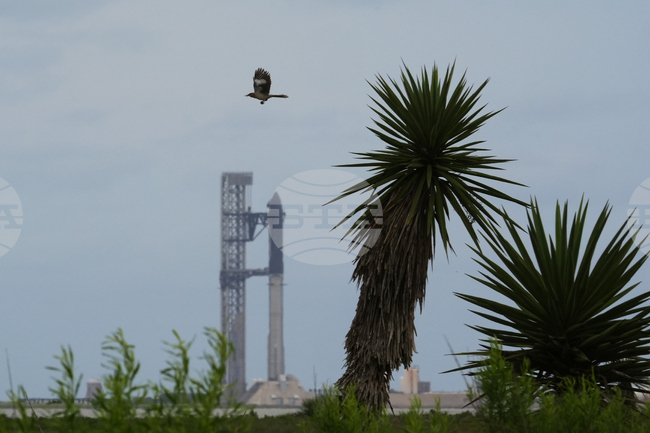 SpaceX Starship Launch