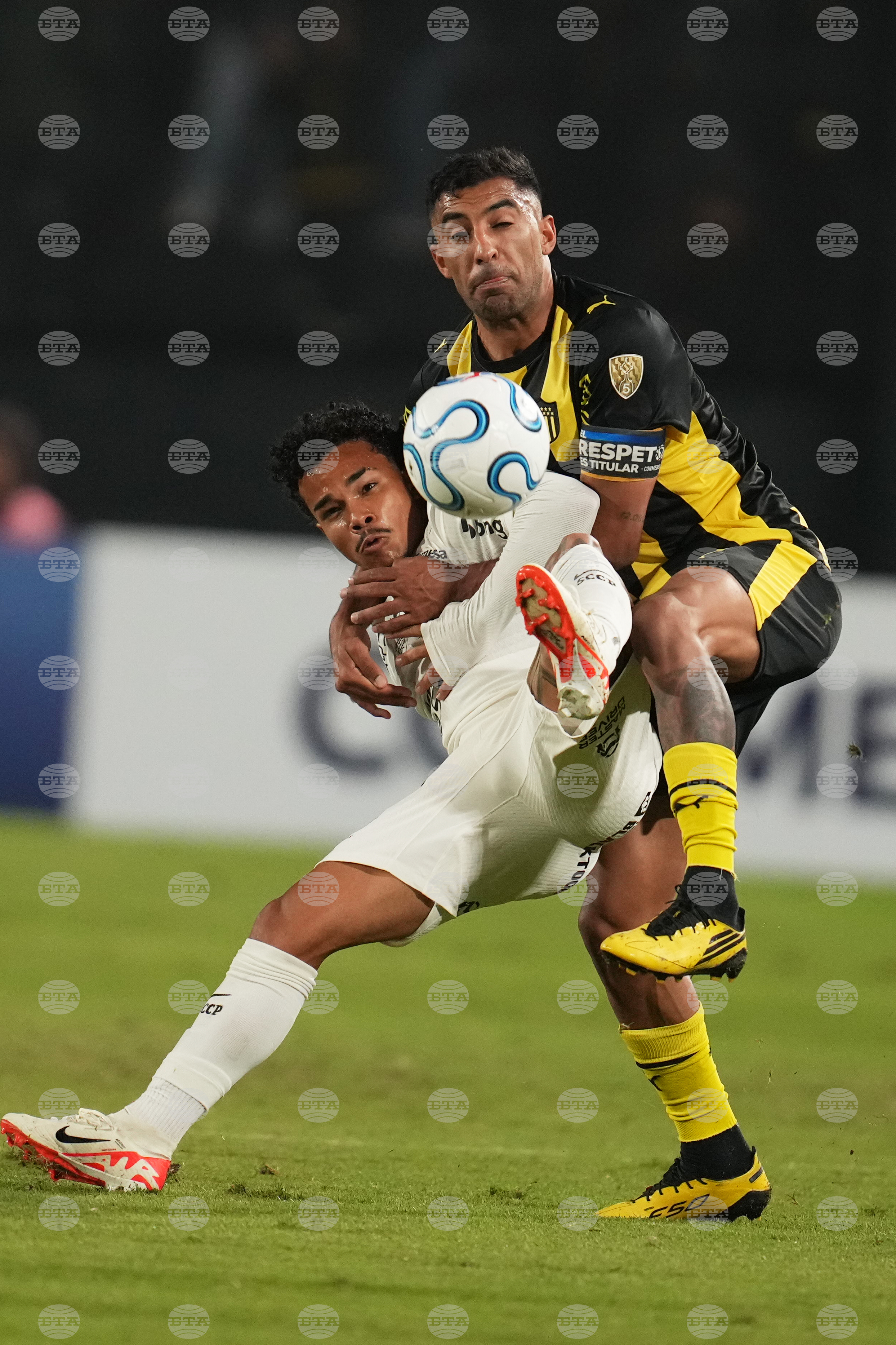 Uruguay Brazil Copa Libertadores Soccer