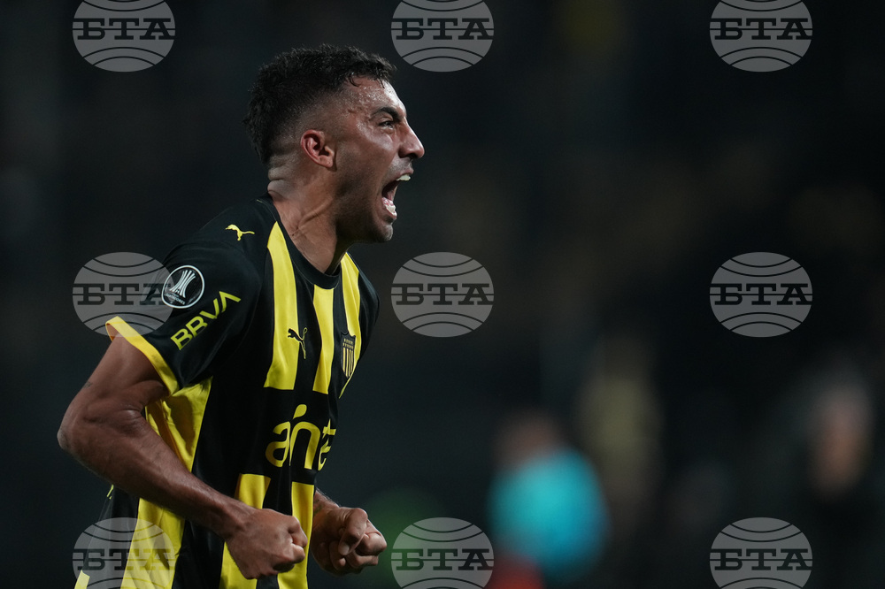 Uruguay Brazil Copa Libertadores Soccer