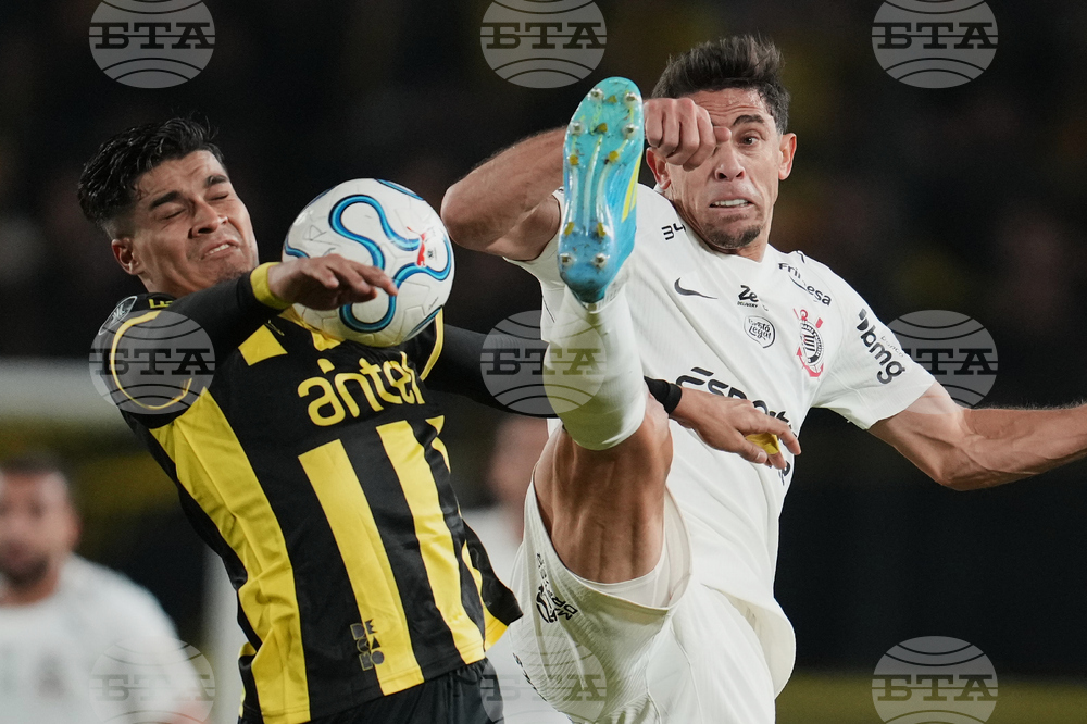 Uruguay Brazil Copa Libertadores Soccer