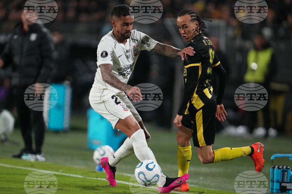 Uruguay Brazil Copa Libertadores Soccer