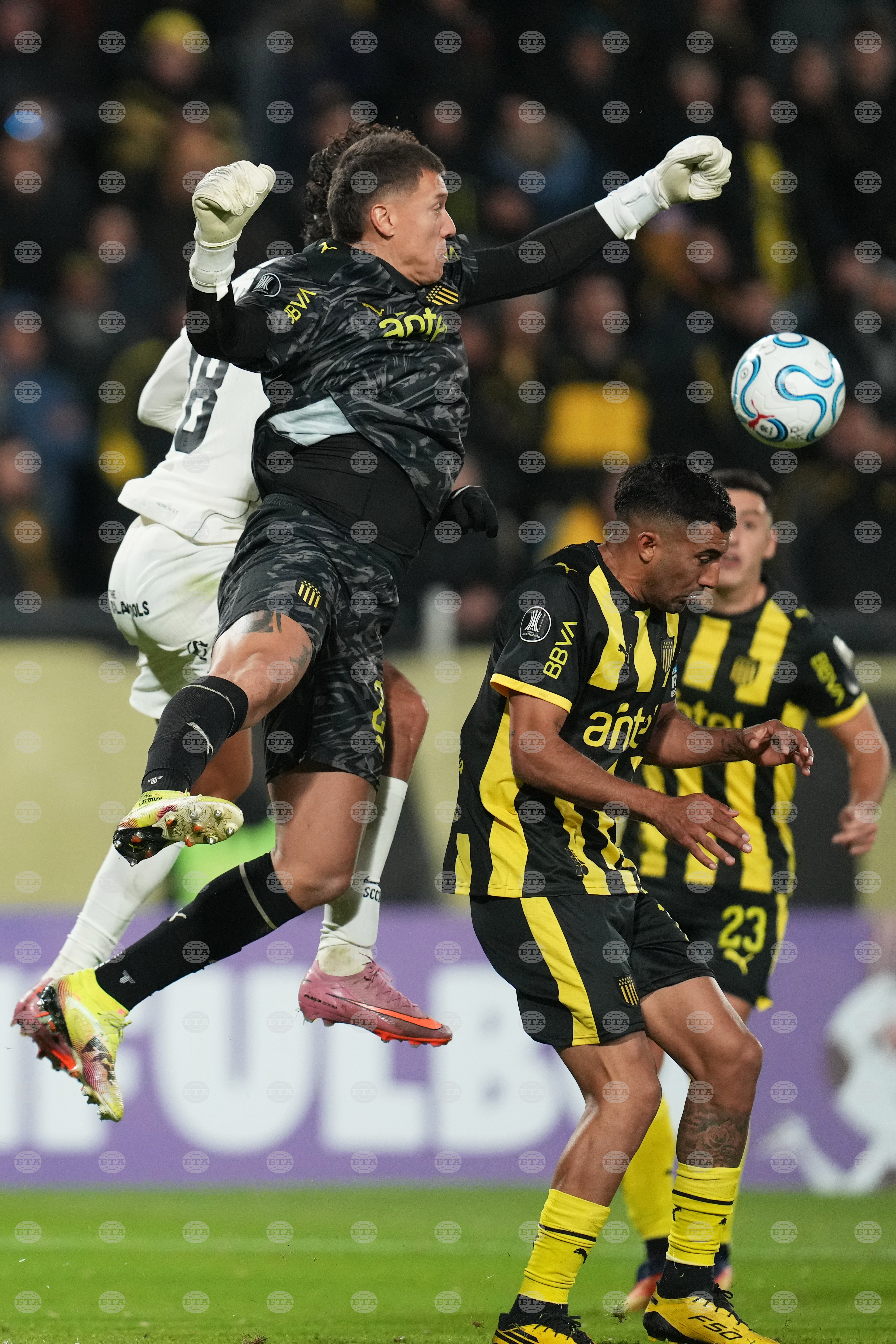 Uruguay Brazil Copa Libertadores Soccer