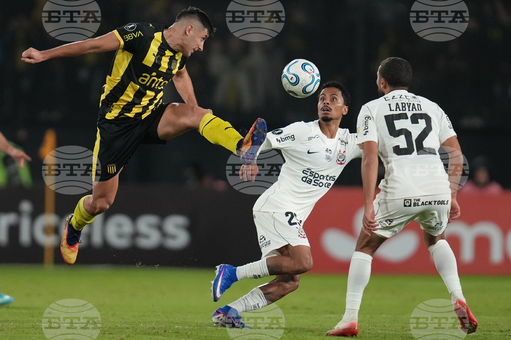 Uruguay Brazil Copa Libertadores Soccer