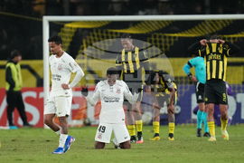Uruguay Brazil Copa Libertadores Soccer