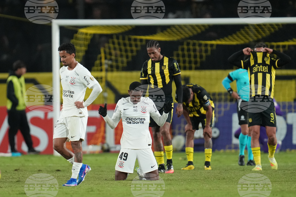 Uruguay Brazil Copa Libertadores Soccer