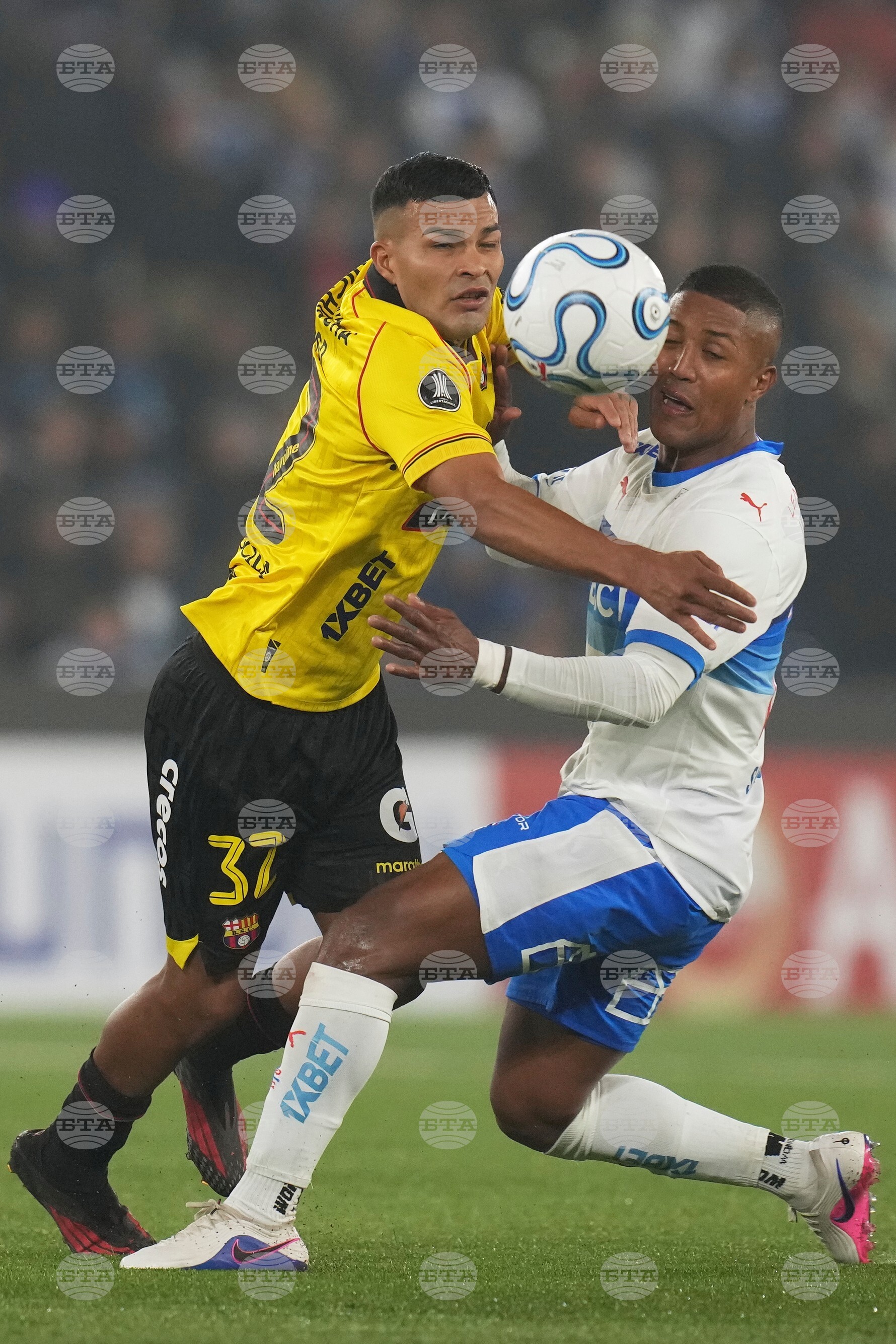Chile Ecuador Copa Libertadores Soccer