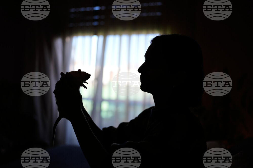 Pictures of the Week Latin America and Caribbean Photo Gallery