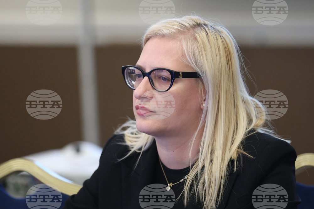Bulgaria Has Retained Strategic Advantage in Sustainable Mining, Says Deputy Energy Minister