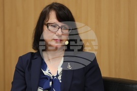 „Отбранителна готовност. Ролята на ЕС и европейското сътрудничество“ - дискусия