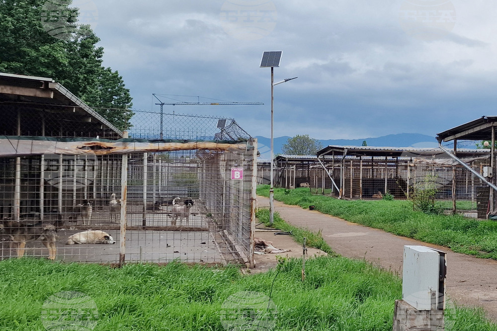 Горни Богоров - общински приют - нова амбулатория