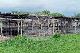 Горни Богоров - общински приют - нова амбулатория