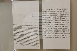Видин - Димитракиева буна - музей - годишнина