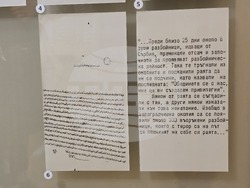 Видин - Димитракиева буна - музей - годишнина