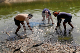 India Heat Wave