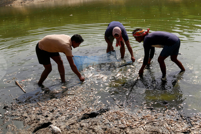 India Heat Wave