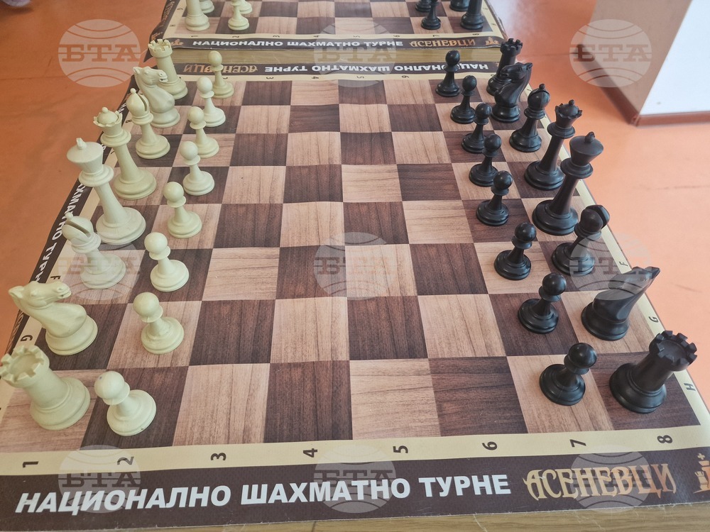 Лозница - шах - празник