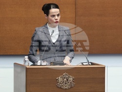 Народно събрание - парламентарен контрол