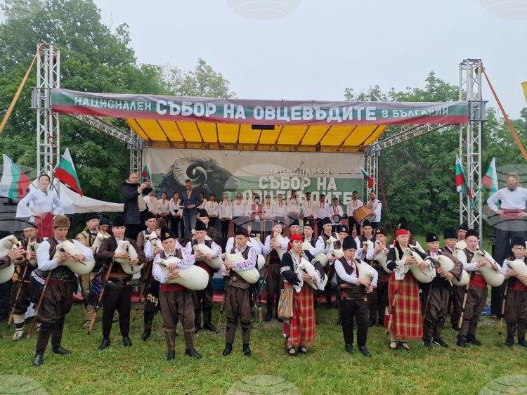 National Festival of Sheep Breeders in Bulgaria Opens